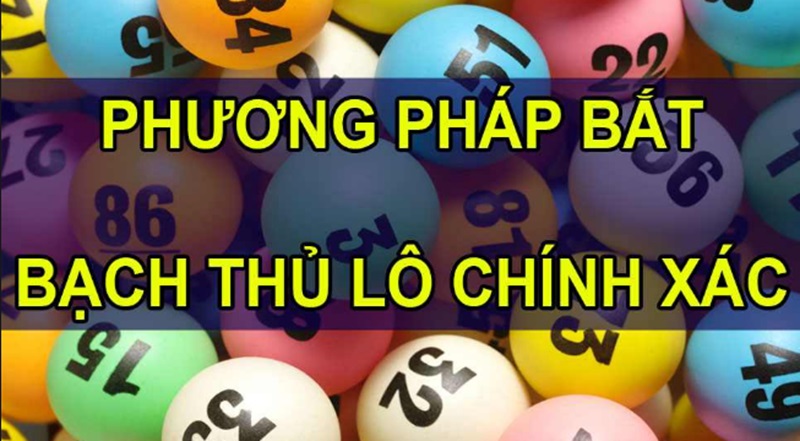 Bạn có thể bắt lô bạch thủ dựa trên tin tức tâm điểm trong ngày